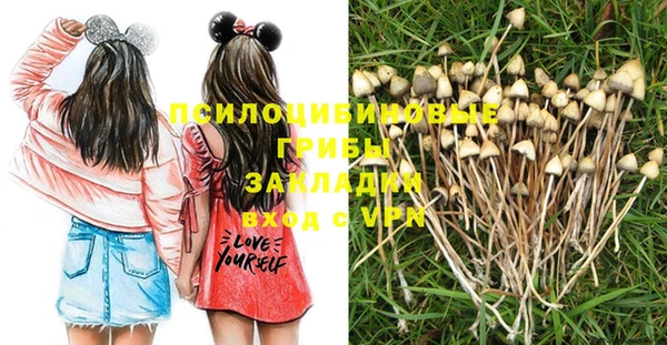 молекула духа Армянск