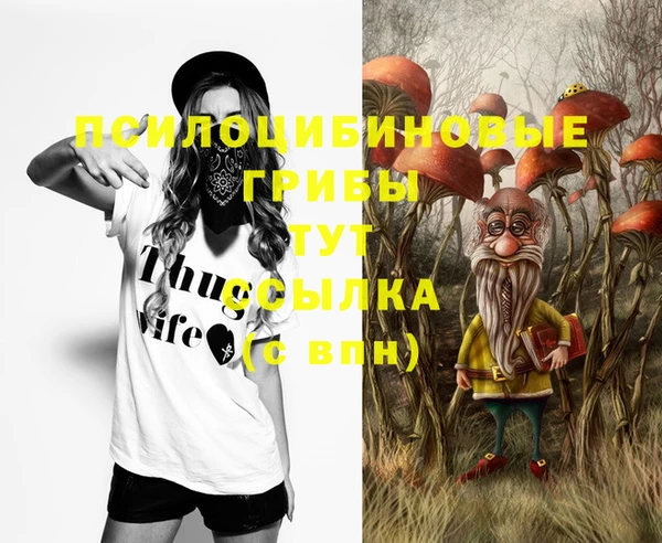 трава Аркадак